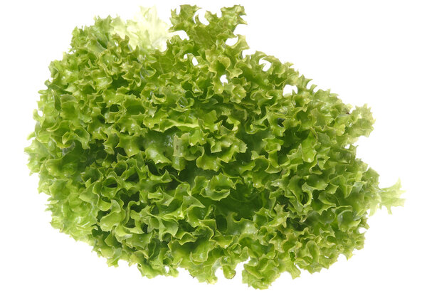 Green salad vegetable