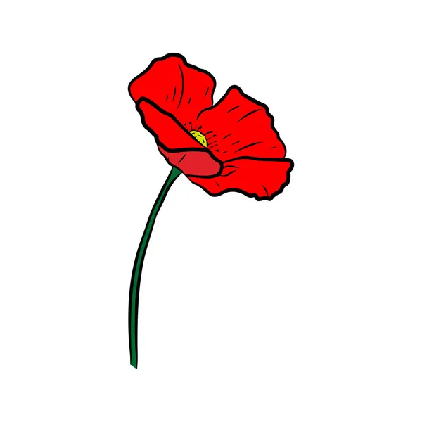 Poppy Flower Hand Drawn Vector Illustration Line Art Style Isolated — Stock Vector