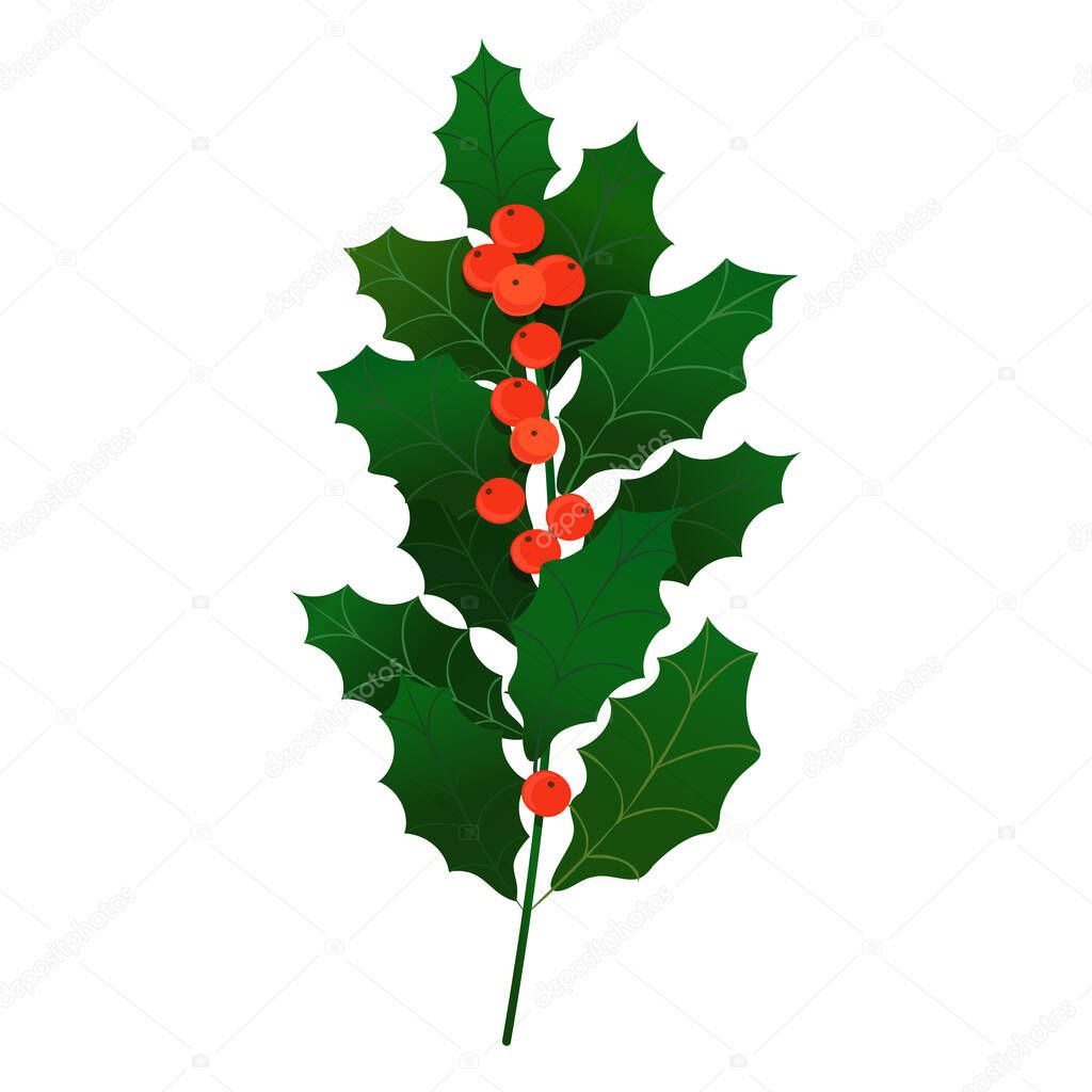 Holly sprig with red berries. Christmas vector decoration element of ilex holly branch and red berries. Illustration isolated on white background