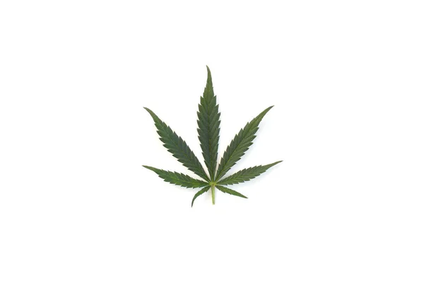 Perfekt Cannabis Leaf Isolerad Vit Bakgrund Bilder Marijuanablad — Stockfoto