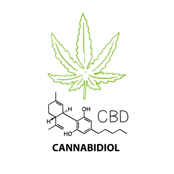 Cannabidiol Cbd Banner Koncept Med Kemisk Formel Och Hampa Cannabisblad — Stock vektor