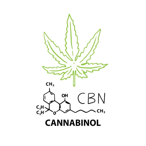 Cannabinol Cbn Banner Koncept Med Kemisk Formel Och Hampa Cannabisblad — Stock vektor
