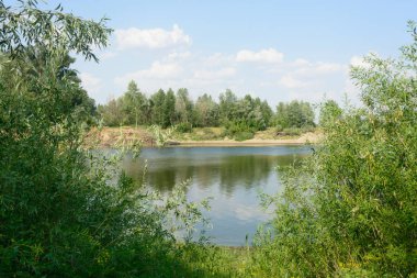 Ağaç dalları olan göl kıyısı. Yaz havası.