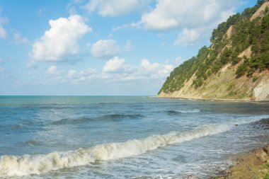 Yazın Karadeniz kıyısında. Kozalaklı ağaçlar ve dalgalı kayalar. Beyaz bulutlu mavi gökyüzü.