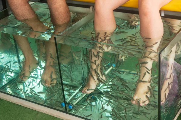 Voeten Voor Mannen Vrouwen Een Aquarium Voor Pedicure Met Garra — Stockfoto