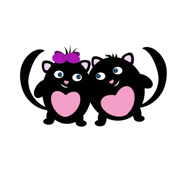 Kediler arka plan olmadan sarılır