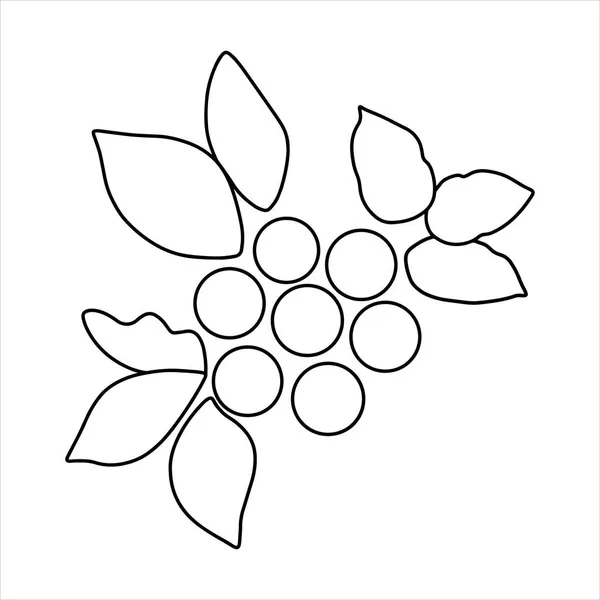 Saskatoon Beere Zeichnung Mit Einem Kleinen Zweig Irgi Beeren Auf — Stockfoto