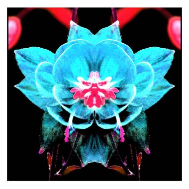 Güzel bir peri çiçeği. Olağanüstü bir çiçek. Benzersiz bir soyut çizim. Güzel bir görüntü tasarım projelerini ve fikirleri süsleyecek.