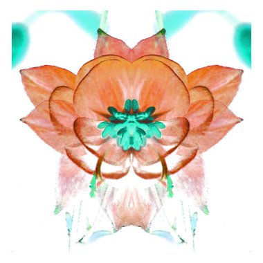 Güzel bir peri çiçeği. Olağanüstü bir çiçek. Benzersiz bir soyut çizim. Güzel bir görüntü tasarım projelerini ve fikirleri süsleyecek.