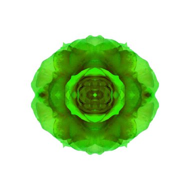 Güzel bir peri çiçeği. Olağanüstü bir çiçek. Benzersiz bir soyut çizim. Güzel bir görüntü tasarım projelerini ve fikirleri süsleyecek.