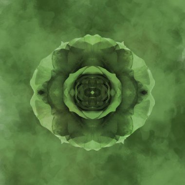 Güzel bir peri çiçeği. Olağanüstü bir çiçek. Benzersiz bir soyut çizim. Güzel bir görüntü tasarım projelerini ve fikirleri süsleyecek.