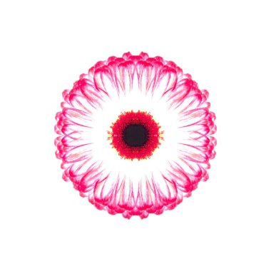 Güzel bir peri çiçeği. Olağanüstü bir çiçek. Benzersiz bir soyut çizim. Güzel bir görüntü tasarım projelerini ve fikirleri süsleyecek.