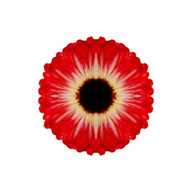 Güzel bir peri çiçeği. Olağanüstü bir çiçek. Benzersiz bir soyut çizim. Güzel bir görüntü tasarım projelerini ve fikirleri süsleyecek.