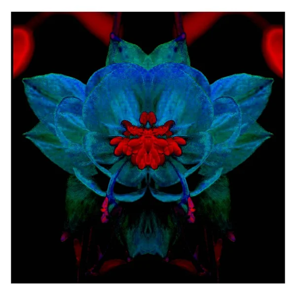 Güzel bir peri çiçeği. Olağanüstü bir çiçek. Benzersiz bir soyut çizim. Güzel bir görüntü tasarım projelerini ve fikirleri süsleyecek.