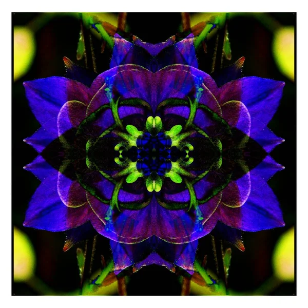 Güzel bir peri çiçeği. Olağanüstü bir çiçek. Benzersiz bir soyut çizim. Güzel bir görüntü tasarım projelerini ve fikirleri süsleyecek.