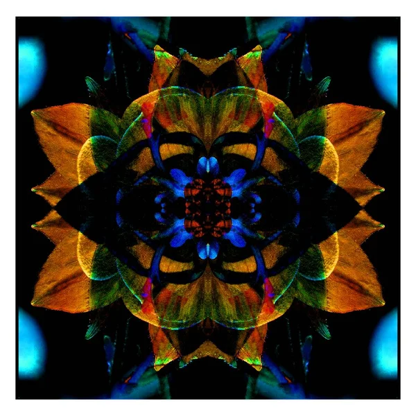 Güzel bir peri çiçeği. Olağanüstü bir çiçek. Benzersiz bir soyut çizim. Güzel bir görüntü tasarım projelerini ve fikirleri süsleyecek.