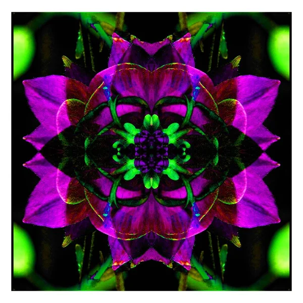 Прекрасный Волшебный Цветок Сказочный Необычный Цветок Уникальная Абстрактная Иллюстрация Красивый — стоковое фото