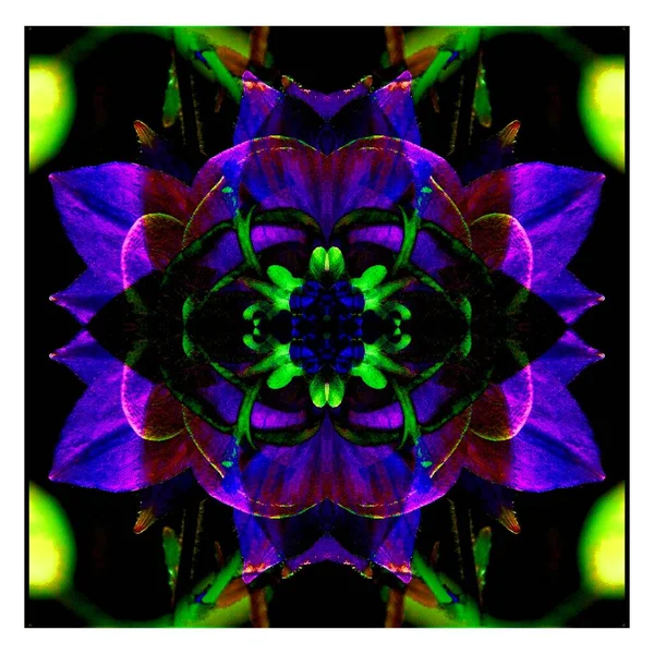 Güzel bir peri çiçeği. Olağanüstü bir çiçek. Benzersiz bir soyut çizim. Güzel bir görüntü tasarım projelerini ve fikirleri süsleyecek.