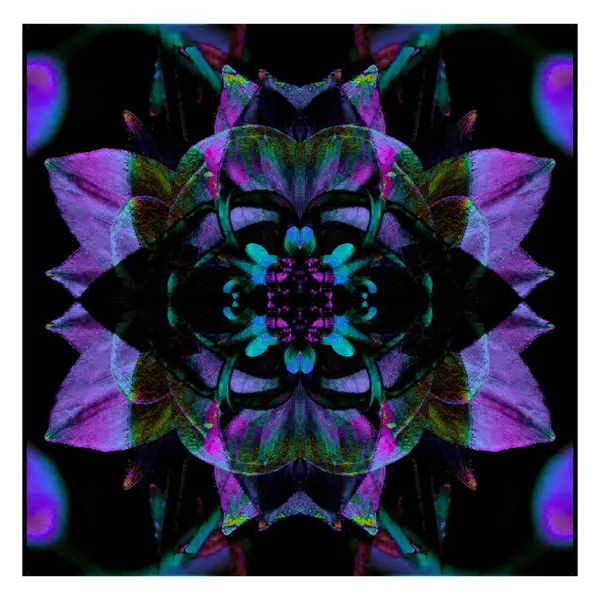 Güzel bir peri çiçeği. Olağanüstü bir çiçek. Benzersiz bir soyut çizim. Güzel bir görüntü tasarım projelerini ve fikirleri süsleyecek.