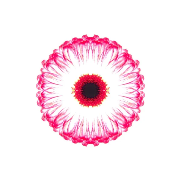 Güzel bir peri çiçeği. Olağanüstü bir çiçek. Benzersiz bir soyut çizim. Güzel bir görüntü tasarım projelerini ve fikirleri süsleyecek.