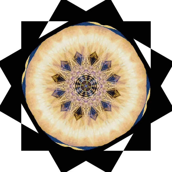 Прекрасный Волшебный Цветок Сказочный Необычный Цветок Уникальная Абстрактная Иллюстрация Красивый — стоковое фото