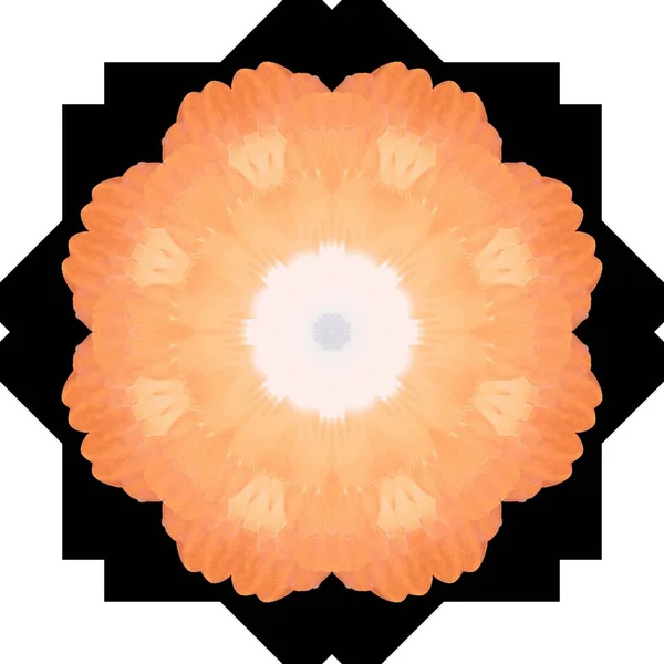 Floare Frumoasă Zână Floare Neobişnuită Ilustrație Abstractă Unică Imagine Frumoasă — Fotografie, imagine de stoc