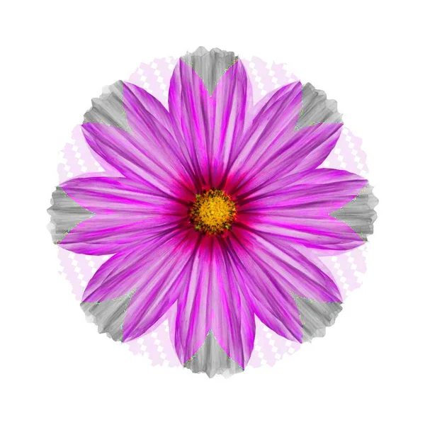 Piękny Bajkowy Kwiat Fantastyczny Niezwykły Kwiat Unikalna Abstrakcyjna Ilustracja Piękny — Zdjęcie stockowe