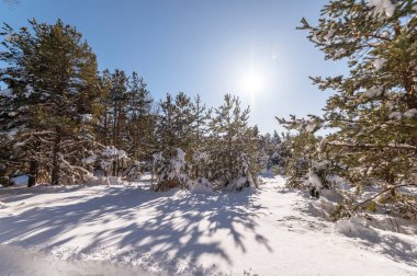 Bulgar dağlarının kış manzarası.