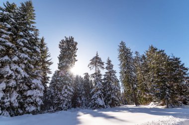 Bulgar dağlarının kış manzarası.