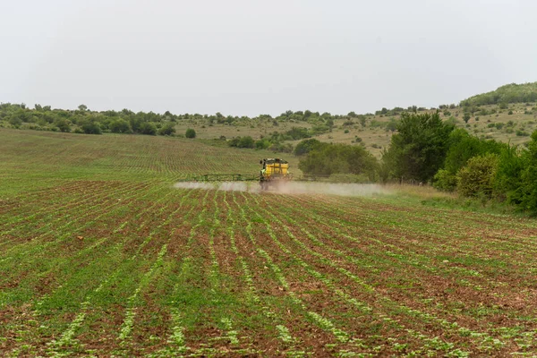 Пестицид Трактора Поле Пшеницы — стоковое фото