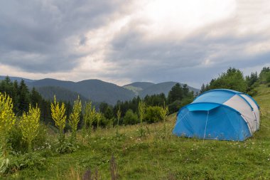 Vacha barajı etrafındaki yeşil tepeler, Rodop Dağları, Filibe Bölgesi, Bulgaristan.