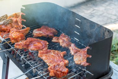 Yaz doğa ızgarası bbq eti, piknik mangalı.