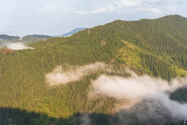 Vista Aérea Nubes Sobre Bosque Las Montañas — Foto de Stock