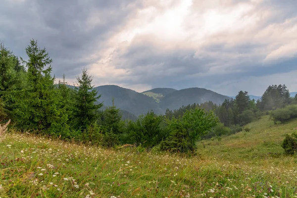 ブルガリア プロヴディフ地方のロドペ山脈ヴァチャ ダム周辺の緑の丘 — ストック写真