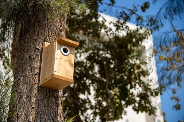 Um tiro de ângulo baixo de uma casa de pássaros de madeira pendurada em um tronco de árvore — Fotografia de Stock