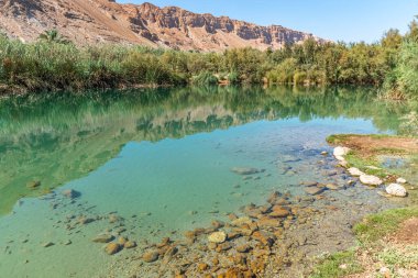 Ölü Deniz yakınlarında bir vaha. Çölde tropikal doğa rezervi. Einot Tsukim, Ein Feshkha
