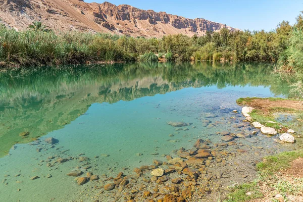 Ölü Deniz yakınlarında bir vaha. Çölde tropikal doğa rezervi. Einot Tsukim, Ein Feshkha