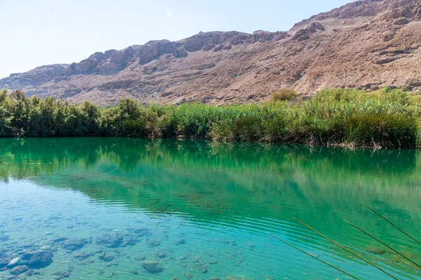 Ölü Deniz yakınlarında bir vaha. Çölde tropikal doğa rezervi. Einot Tsukim, Ein Feshkha