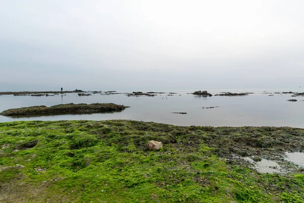 Sisli bir günde, Jaffa sahilinde küçük bir balıkçı teknesi. Barış, sessizlik ve sükunet kavramı. Yüksek anahtarlı fotoğrafçılık. Yüksek kalite fotoğraf