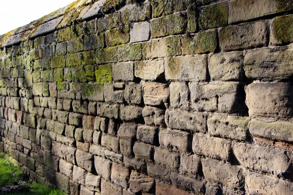 Eski yosunlu duvar taş