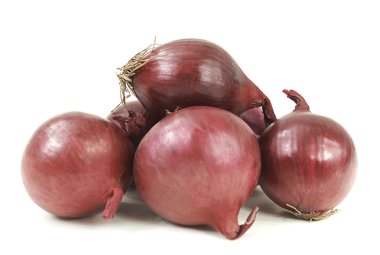 kırmızı soğanlar (Allium cepa)