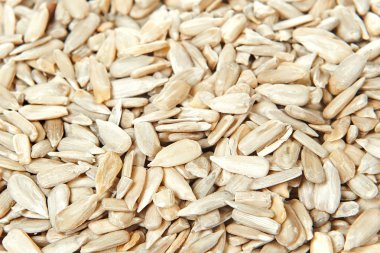 Ayçiçeği çekirdeği