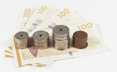 Danimarkalı para birimi