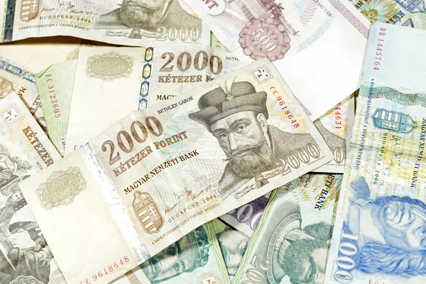 Hongaarse valuta — Stockfoto