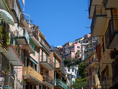 Manarola located in Cinque terra in Italy