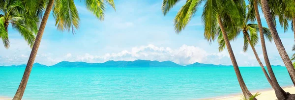 Beautiful tropical beach panorama, exotic island panoramic view, turquoise sea water, ocean waves, sand, green palm tree leaves, sun blue sky white clouds background, summer holidays, vacation, travel