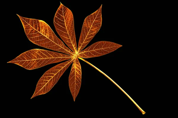 黄金の葉黒の背景を隔離されたクローズアップ 黄色の金属キャッサバの葉 金の花の装飾 木の枝 美しい熱帯の葉のイラスト マニオック植物の小枝 芸術の花のデザイン要素 — ストック写真