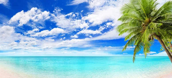 Tropisk Strand Panorama Turkosa Havet Lagun Blå Vatten Bukten Panoramautsikt — Stockfoto