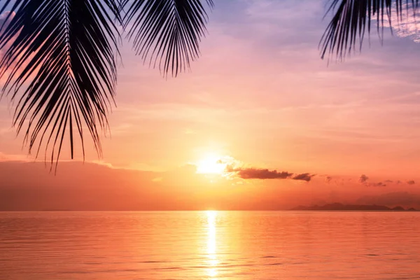 美しい海の夕日 朝の海の日の出 熱帯の島のビーチ ヤシの木のシルエット 紫色の空 オレンジの雲 水に黄色の太陽の輝きを残し 夜明けの風景 夏休み — ストック写真