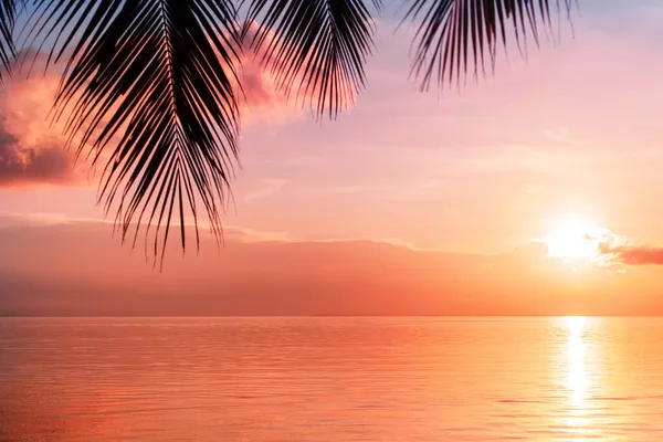 美しい海の夕日 朝の海の日の出 熱帯の島のビーチ ヤシの木のシルエット 紫色の空 オレンジの雲 水に黄色の太陽の輝きを残し 夜明けの風景 夏休み — ストック写真